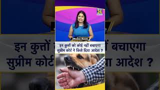 Delhi- NCR में आवारा कुत्तों की बढ़ती संख्या पर SC का बड़ा एक्शन!