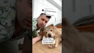 ADEVARUL DESPRE CUM ARATA O ZI CU 4 CATEI.. Daily Vlog 1 #shorts #familiaham #romania