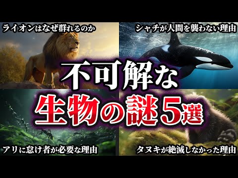 【ゆっくり解説】意外と知らない不可解な生物の謎5選