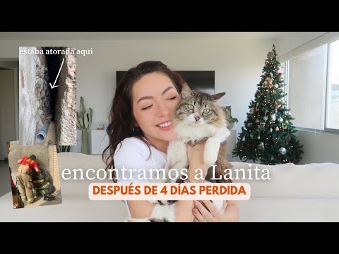 como rescatamos a mi gata perdida por 4 días ❤️‍🩹 storytime #teconkaty