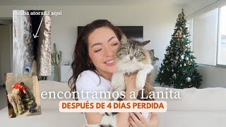 como rescatamos a mi gata perdida por 4 días ❤️‍🩹 storytime #teconkaty