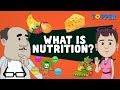 Nutrition and Health Concepts