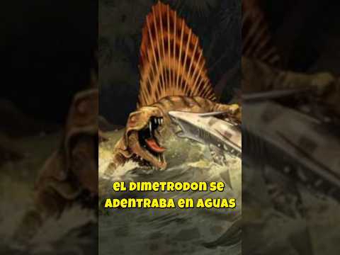 Dimetrodon, el cazador de tiburones