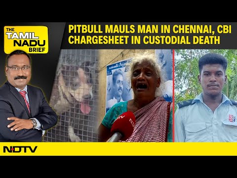 Pitbull Mauls Man in Chennai | CBI Chargesheet In Custodial Death | Owaisi In Puducherry
