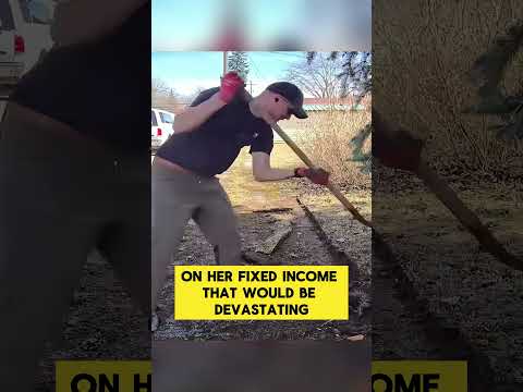 She WIPED TEARS on Her Sleeve...After Watching What They Did During My YARD WORK ๐ข#shorts #lawncare