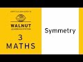 Understanding Symmetry in Shapes