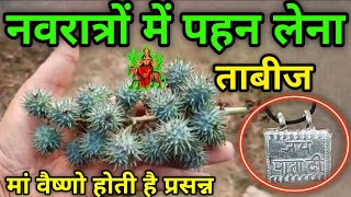 22 सितंबर 😱नवरात्रि में क्या खाना चाहिए और क्या नहीं || 2 सब्जी खाने से व्रत टूट जाता है #Navratri