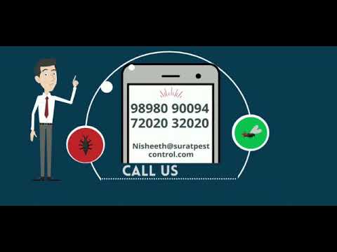 Surat Pest Control (Pest Control) YouTube video thumbnail