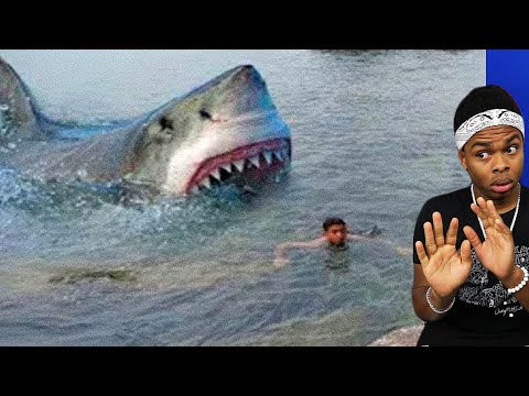 MASSIVE Shark sneaks up on boy