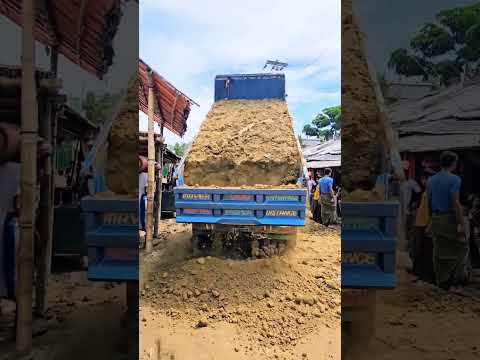 ভাইরাল করে দাও