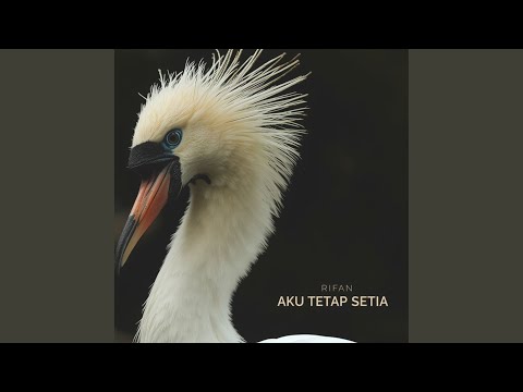 Aku Tetap Setia.