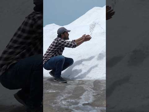 ഉപ്പ് ഉണ്ടാക്കുന്നത് ഇങ്ങനെയാണ് #salt #saltwater #seasalt #saltmaking #tamilnadu #thoothukudi