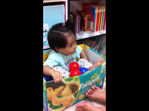 烏魚子最近很喜歡跑到箱子裡面=_=