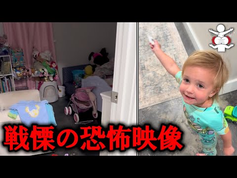【恐怖映像】海外で話題の謎が多い不気味な映像 7選