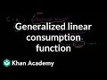 Understanding Consumption Functions