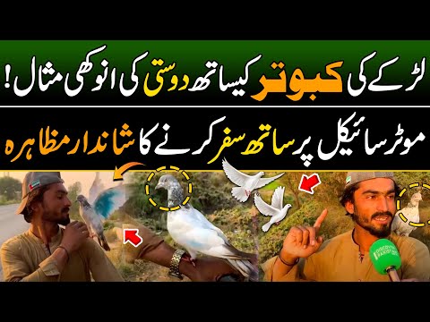 Unique Example of Nawab Shah's Young Boy Friendship with Pigeon | Discover Pakistan