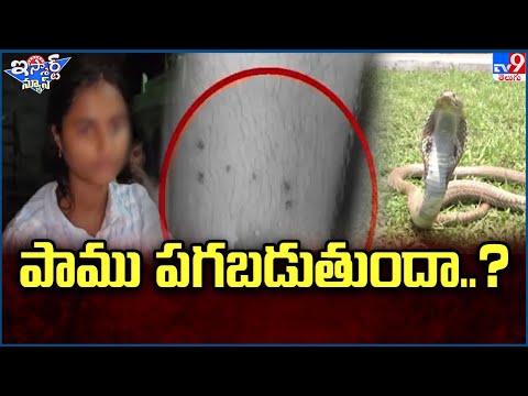 iSmart News : పాము పగబడుతుందా..? | Snakes - TV9