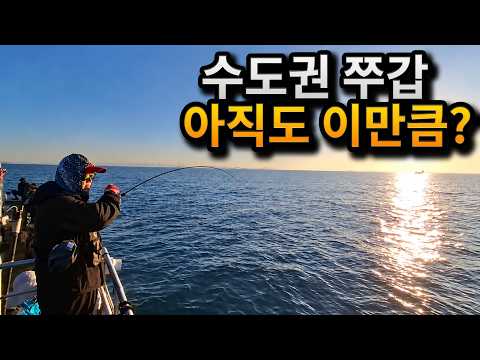수도권에서 이 정도면 충분하지