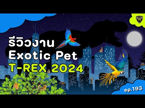 พาชมสัตว์เลี้ยงExoticในงานTRexครั้งที่3ปี2024【EP.1934K】reali