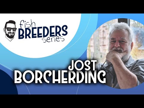 FISH BREEDERS SERIES | Jost Borcherding FISH BREEDERS SERIES
Welcome to the new series of lives of the Paraíso Pleco project.

We will w