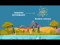 Human Impact on Food Webs