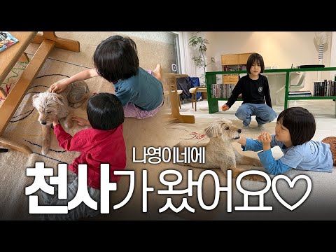 나영이네 집에 강아지가 왔어요🤍순이야 사랑해