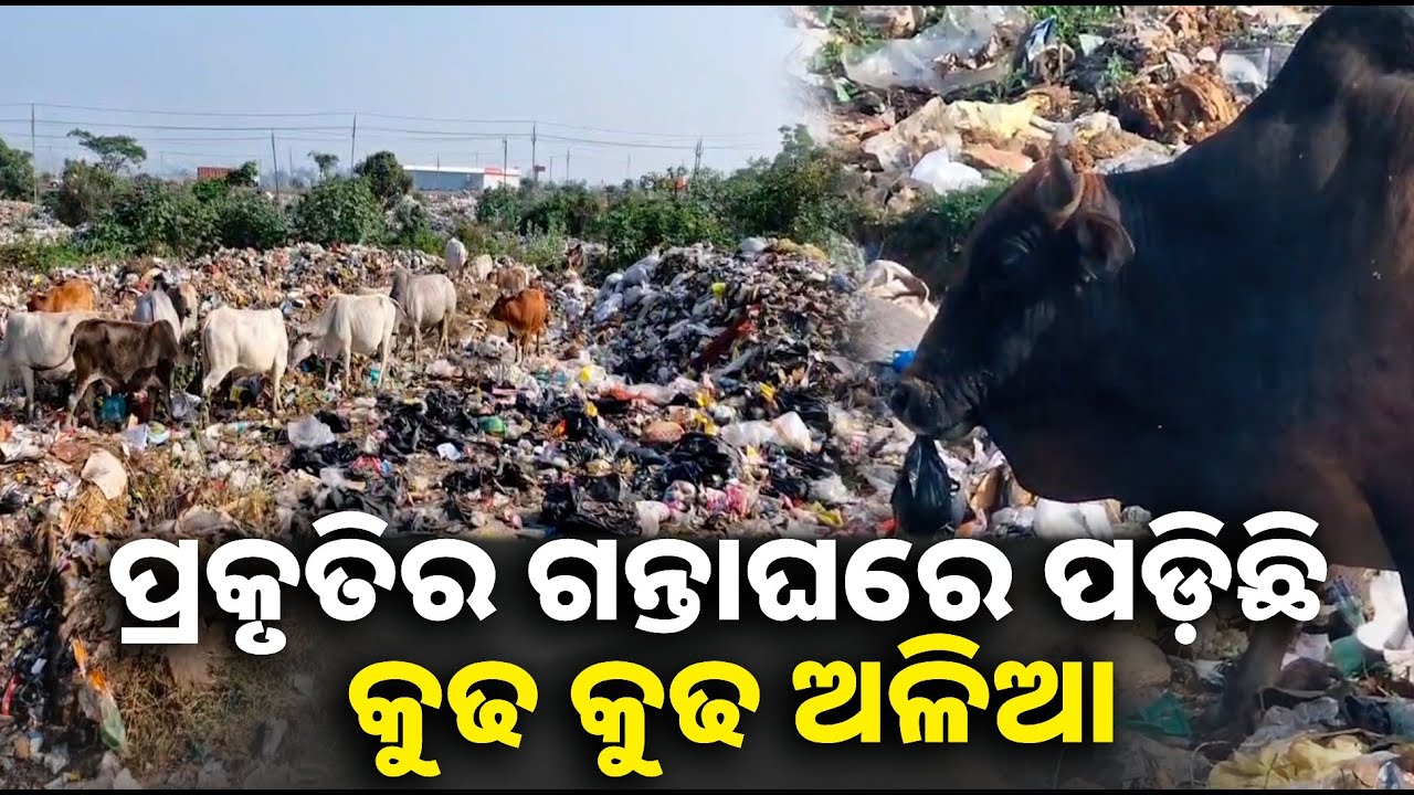 ଅଳିଆ ଧୂଆଁରେ ଅଣନିଶ୍ବାସୀ ହୋଇ ପଡୁଛନ୍ତି ଲୋକେ, ସାଧାରଣରେ ଦେଖାଦେଇଛି ତୀବ୍ର ଅସନ୍ତୋଷ || Knews odisha