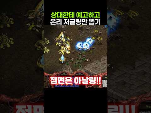 상대한테 미리 예고하고 <strong>온리</strong> 저글링만 뽑기