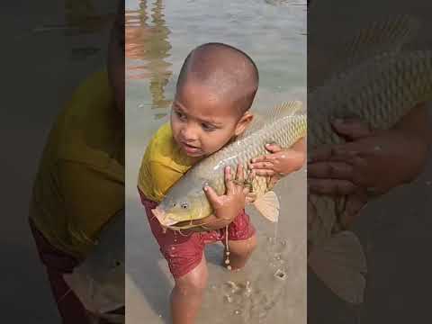 Amazing Boy Catching Fish By Hand #fishing
