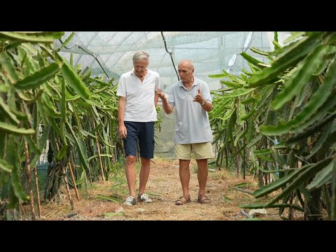 Albania eyes up growing exotic fruit for Europe | AFP
