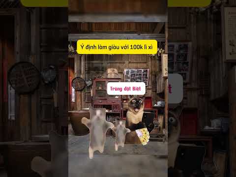 100k và ý định làm giàu #memecat #catshorts #kechuyen #memekechuyenne
