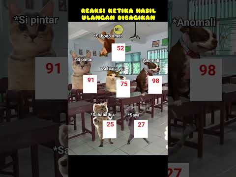 Yg penting ga dapat telur🗿#meme #kucingmeow #meow #kucing #youtubeshorts