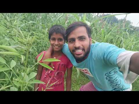 हमारे गांव में खेती कैसे की जाती हैं #vlog #vlogvideo #vlogs #myfirstvlog  #viralvlogs #trendingvlog