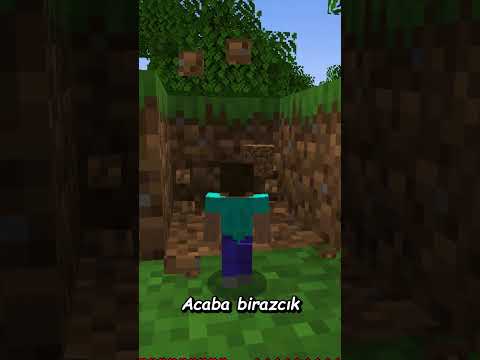 Minecraft AMA Boyumu Siz Yönetiyorsunuz 📏