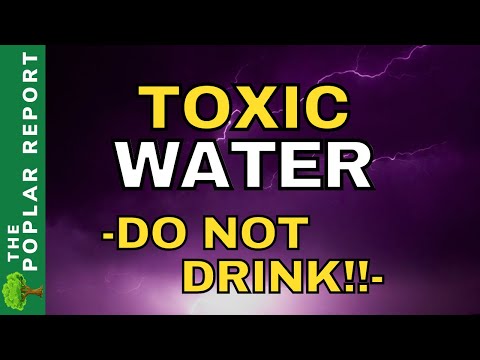 🚨🚨Do NOT Boil Or TOUCH- & Watchmen Updates