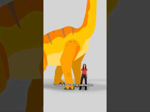 How Big Were Dinosaurs Really?