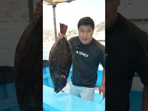 Ceviche de lenguado🐟.                                          #ceviche #food #foodie