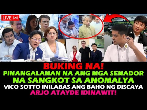 SARAH DISCAYA BUKING NA JINGGOY ESTRADA AT JOEL VILLANUEVA NABUNYAG ANG ITINATAGONG LIHIM‼️ BATO