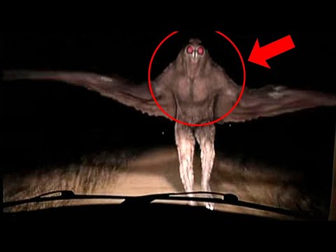 The Chilling Story of the Mothman: Fact or Fiction?