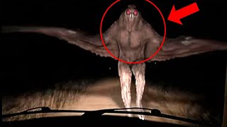 The Chilling Story of the Mothman: Fact or Fiction?