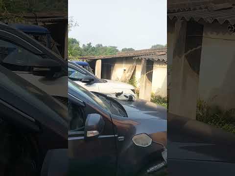 Cat sleeping On car... 😀