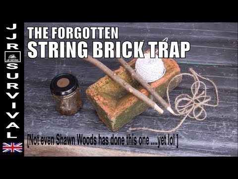 String Brick Trap