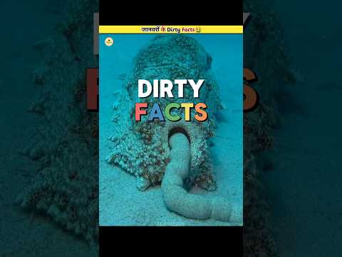 Dirty Facts About Animals 🤮