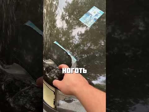 КАКИЕ ДОБРЫЕ ЛЮДИ @roma.kh21
