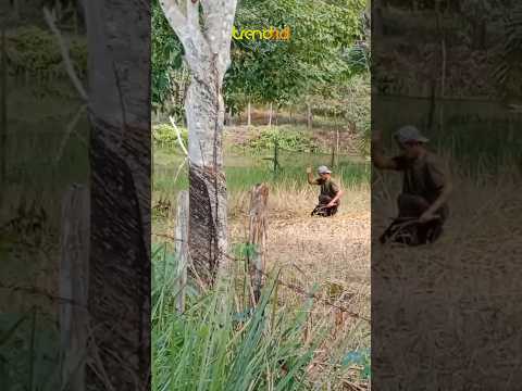 KIRA-KIRA JURUS APA YANG DIPAKAI, KOK BISA KEBAL