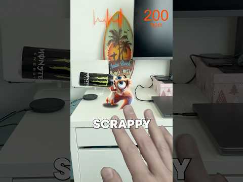 Scrappy Likes Energy Drinks Too Much #squirrel #comedy