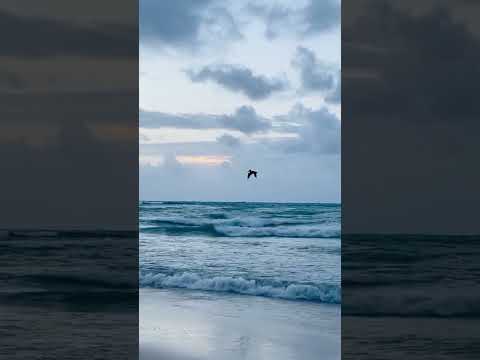 Có những nỗi sợ không đến từ sự chia ly, mà từ những mối quan hệ lưng chừng #TâmSự #TìnhYêu #ChiaTay