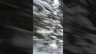 "Позвоню тебе" Татьяна Козловская.