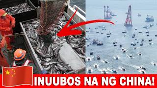 ITO ANG DAHILAN KUNG BAKIT PAUBOS NA ANG ATING YAMANG DAGAT! #yamangdagat #westphilippinesea