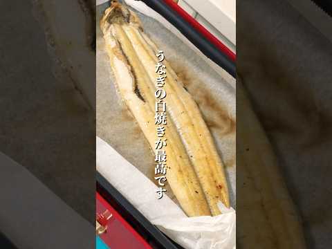 土用の丑の日に見てください 本当のうなぎの美味しい食べ方を教えますよ【おすすめ】 #うなぎ #丑の日 #shorts